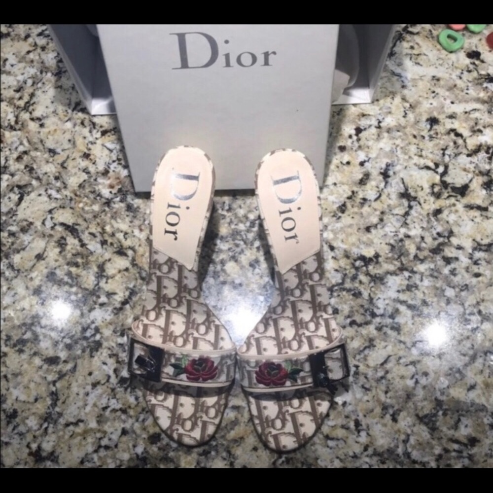Dior trotter heels